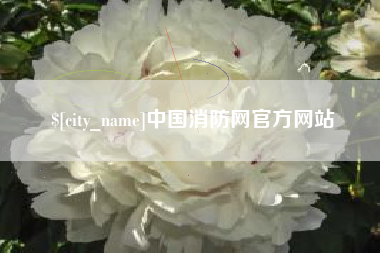 新昌中国消防网官方网站