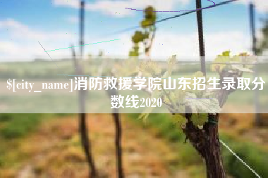 新昌消防救援学院山东招生录取分数线2020