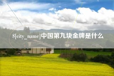新昌中国第九块金牌是什么