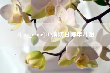 新昌119消防日哪年开始