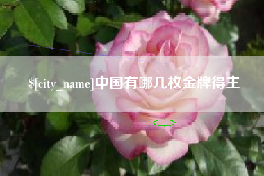 新昌中国有哪几枚金牌得主