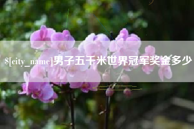 新昌男子五千米世界冠军奖金多少