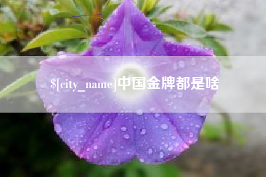新昌中国金牌都是啥