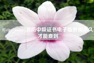 新昌消防中级证书电子版查询多久才能查到