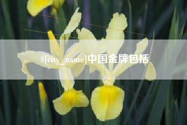 新昌中国金牌包括