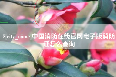 新昌中国消防在线官网电子版消防证怎么查询