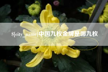 新昌中国九枚金牌是哪九枚
