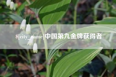 新昌中国第九金牌获得者