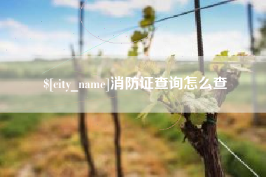 新昌消防证查询怎么查