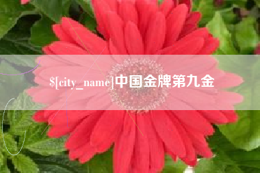 新昌中国金牌第九金