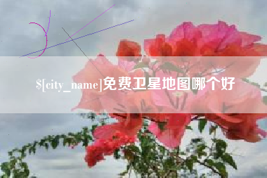 新昌免费卫星地图哪个好