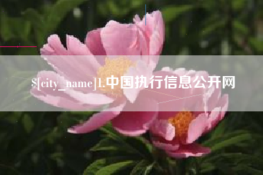 新昌1.中国执行信息公开网