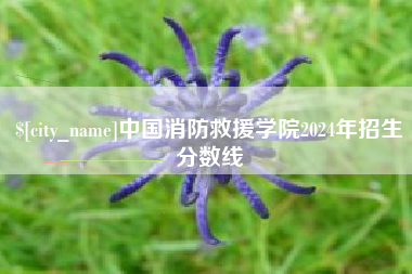 新昌中国消防救援学院2024年招生分数线