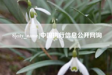 新昌中国执行信息公开网询