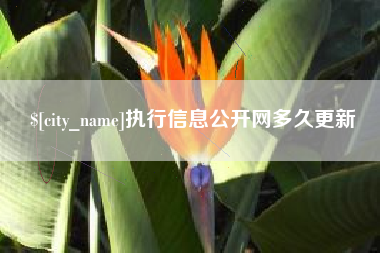 新昌执行信息公开网多久更新