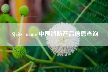 新昌中国消防产品信息查询