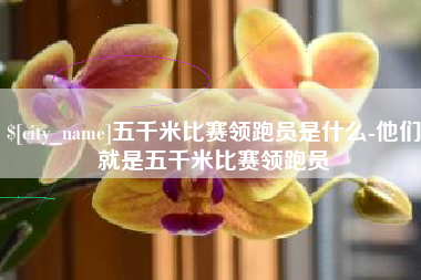 新昌五千米比赛领跑员是什么-他们就是五千米比赛领跑员