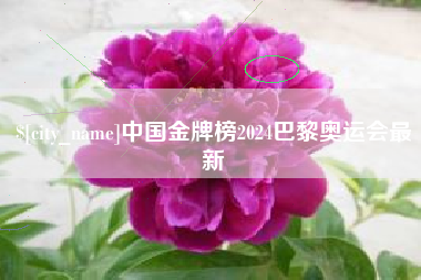 新昌中国金牌榜2024巴黎奥运会最新