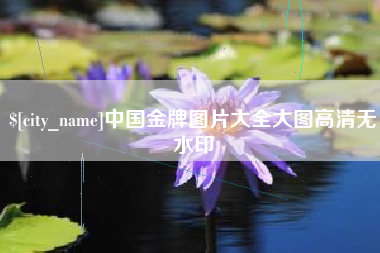 新昌中国金牌图片大全大图高清无水印