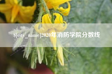 新昌2020年消防学院分数线