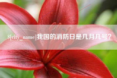 新昌我国的消防日是几月几号？