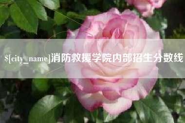 新昌消防救援学院内部招生分数线