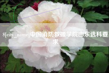 新昌中国消防救援学院山东选科要求