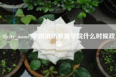 新昌中国消防救援学院什么时候政审