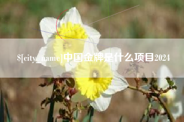 新昌中国金牌是什么项目2024
