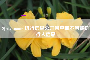 新昌执行信息公开网查询不到被执行人信息