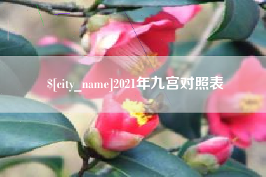 新昌2021年九宫对照表