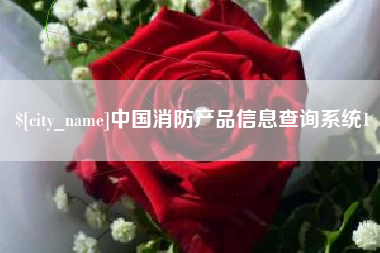 新昌中国消防产品信息查询系统1