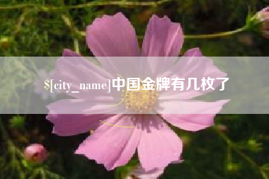 新昌中国金牌有几枚了