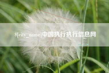 新昌中国执行执行信息网