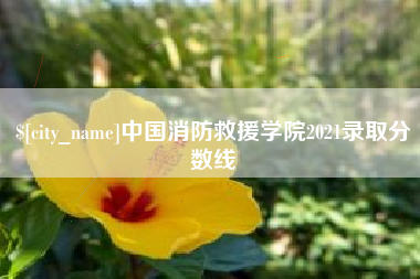 新昌中国消防救援学院2021录取分数线