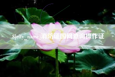 新昌消防证国网查询操作证