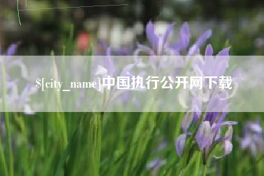新昌中国执行公开网下载