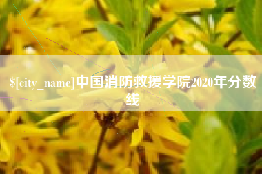 新昌中国消防救援学院2020年分数线
