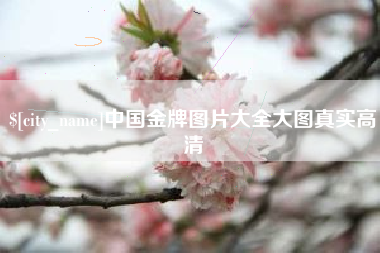 新昌中国金牌图片大全大图真实高清