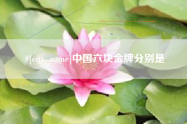 新昌中国六块金牌分别是