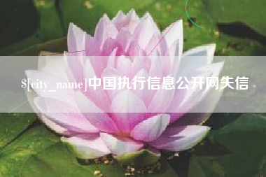 新昌中国执行信息公开网失信