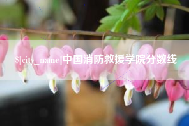 新昌中国消防救援学院分数线