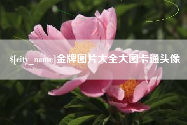 新昌金牌图片大全大图卡通头像