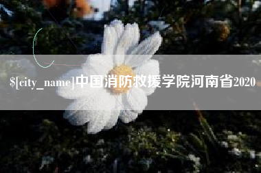 新昌中国消防救援学院河南省2020